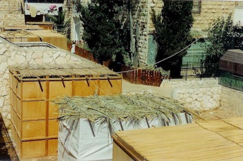Happy Sukkot